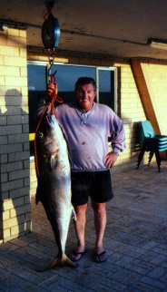 Bobs 36kg Sambo Archive Photo